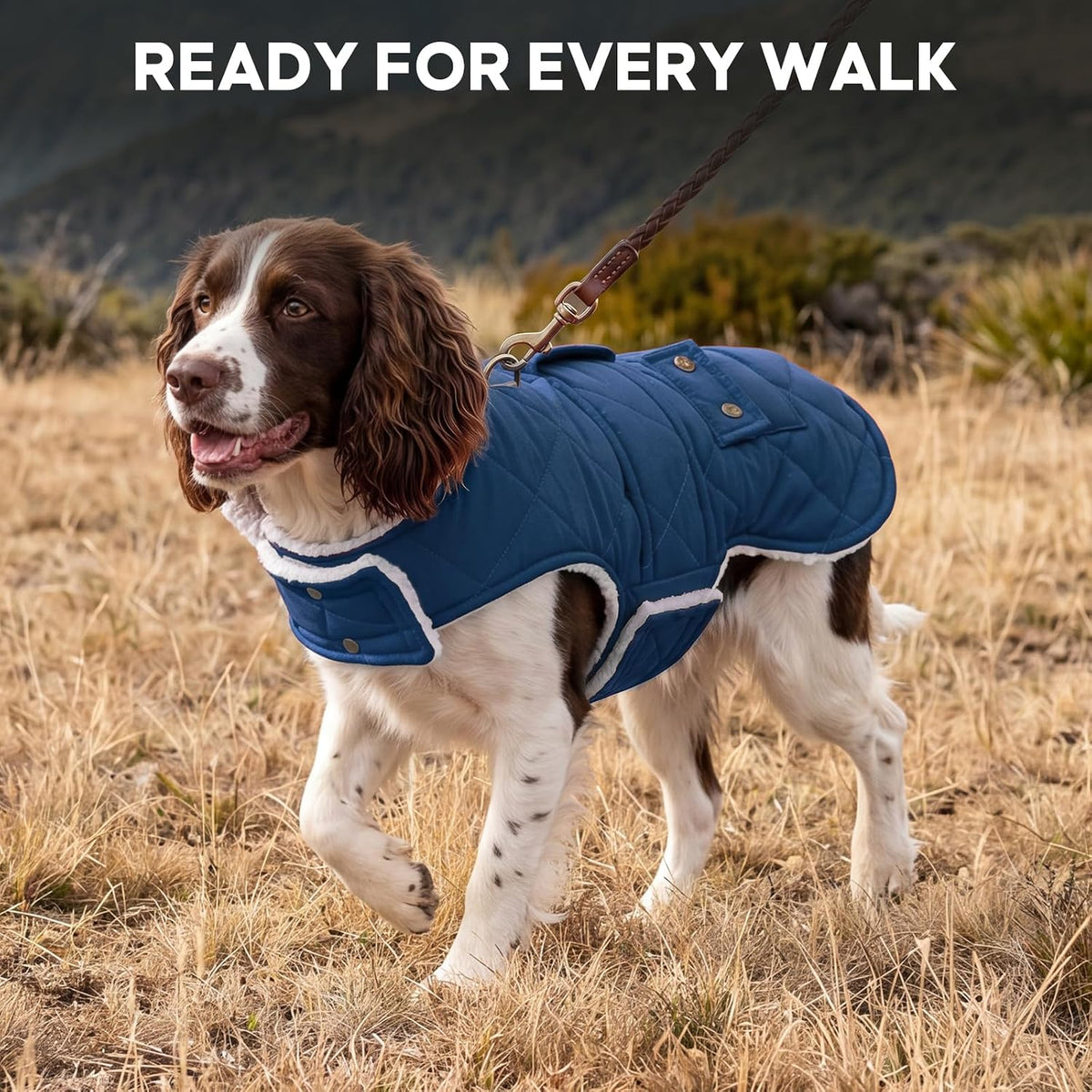 KYEESE Waterproof & Windproof Dog Coat for Small Dogs Puffer Jacket – Essentials for Dogs - Medium / 01# Blue - image 3