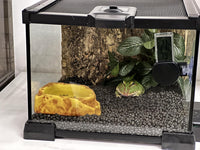 AWXZOM Mini Reptile Glass Terrarium Tank - 7.9x7.9x5.7inch - image 2