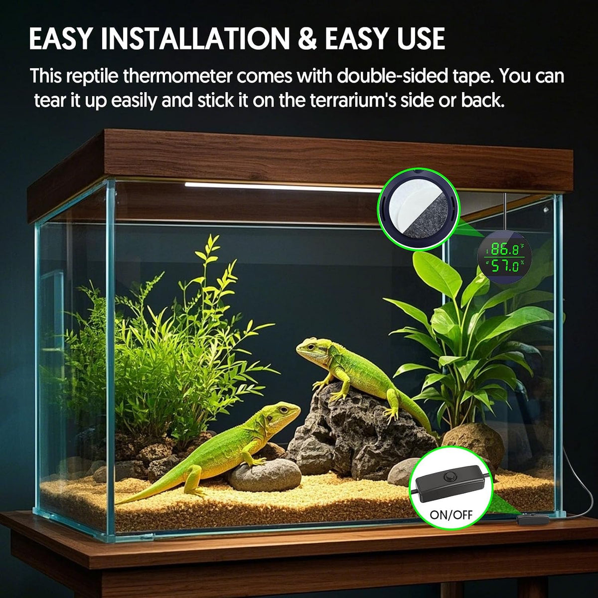Reptile Thermometer and Humidity Gauge, Digital Display - Blue - 2 Pack - image 2