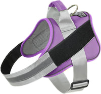 Bolux Dog Harness, No-Pull Reflective Dog Vest - X-Small (Pack of 1) / Lavender