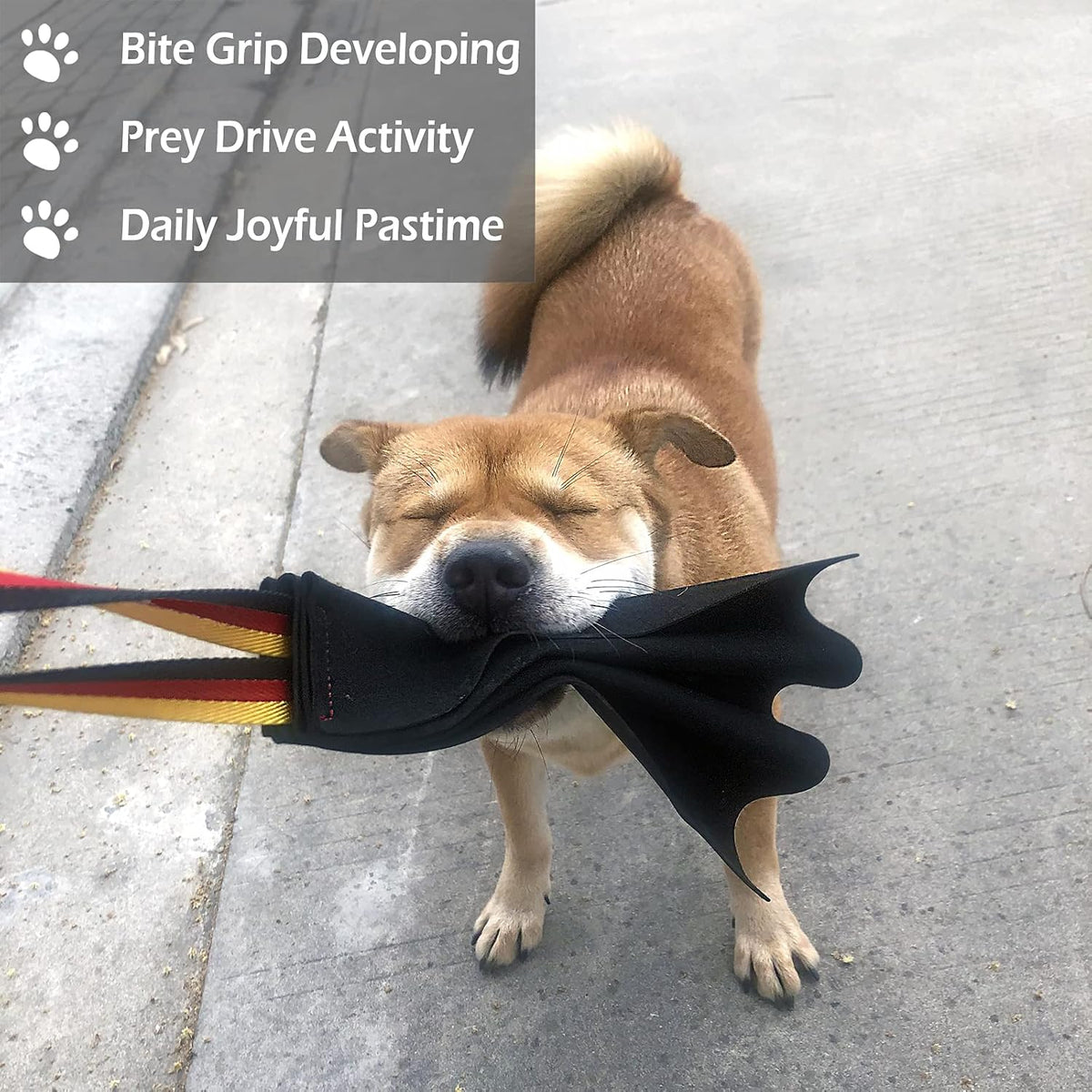 Dewonch Leather Bite Rag for Dog Training - Tug Rag - image 2