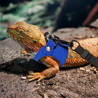 Bearded Dragon Harness Leash Set, 3 Size Lizard Harness - Blue - image 3