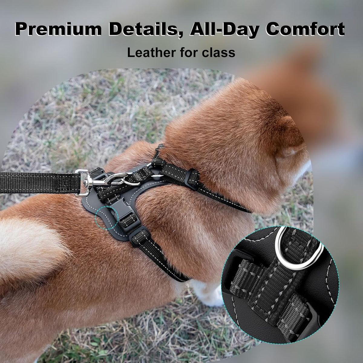 Plutus Pet No Pull Dog Harness with Leather Accents - XL / Black - image 2
