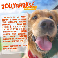6 Inch Bully Sticks for Small Dogs | Odorless High Protein Single Ingredient Dog Treat (20 Pack)