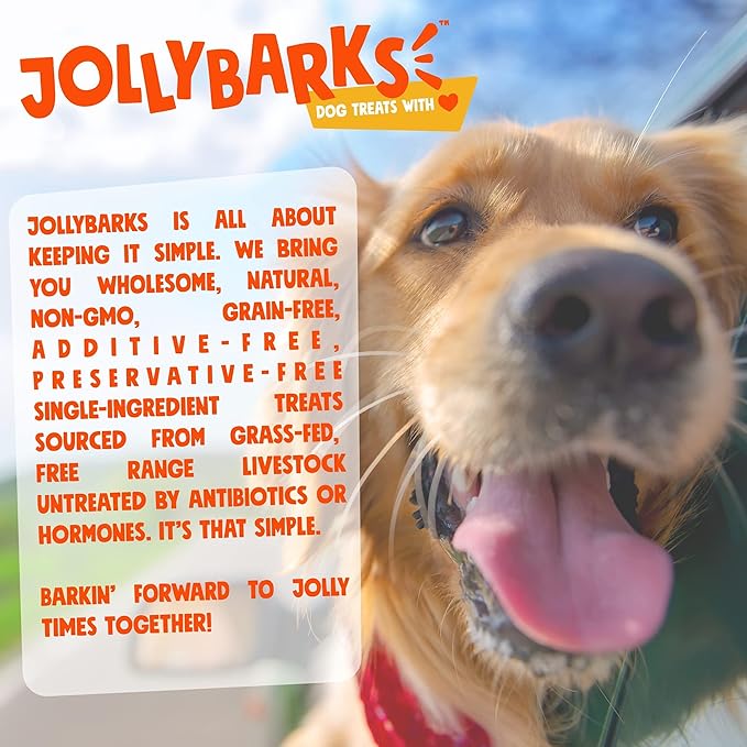 Bully Sticks for Small Dogs | All Natural, Single Ingredient for Puppies to Medium Dogs (12" Stnd Bully Sticks - 6pk)