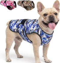Dog Cooling Vest, 2-Layer Microfiber Cooling Jacket, Blue, L – Essentials for Dogs - Blue Camo / Medium (Pack of 1)