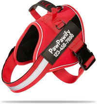 PawPawify Custom No Pull Dog Harness with Name and Phone Number, Heavy Duty Personalized Pet Vest to Prevent Tugging, Pulling, or Choking, Training and Walking (New Red, M (20-40 LBS))