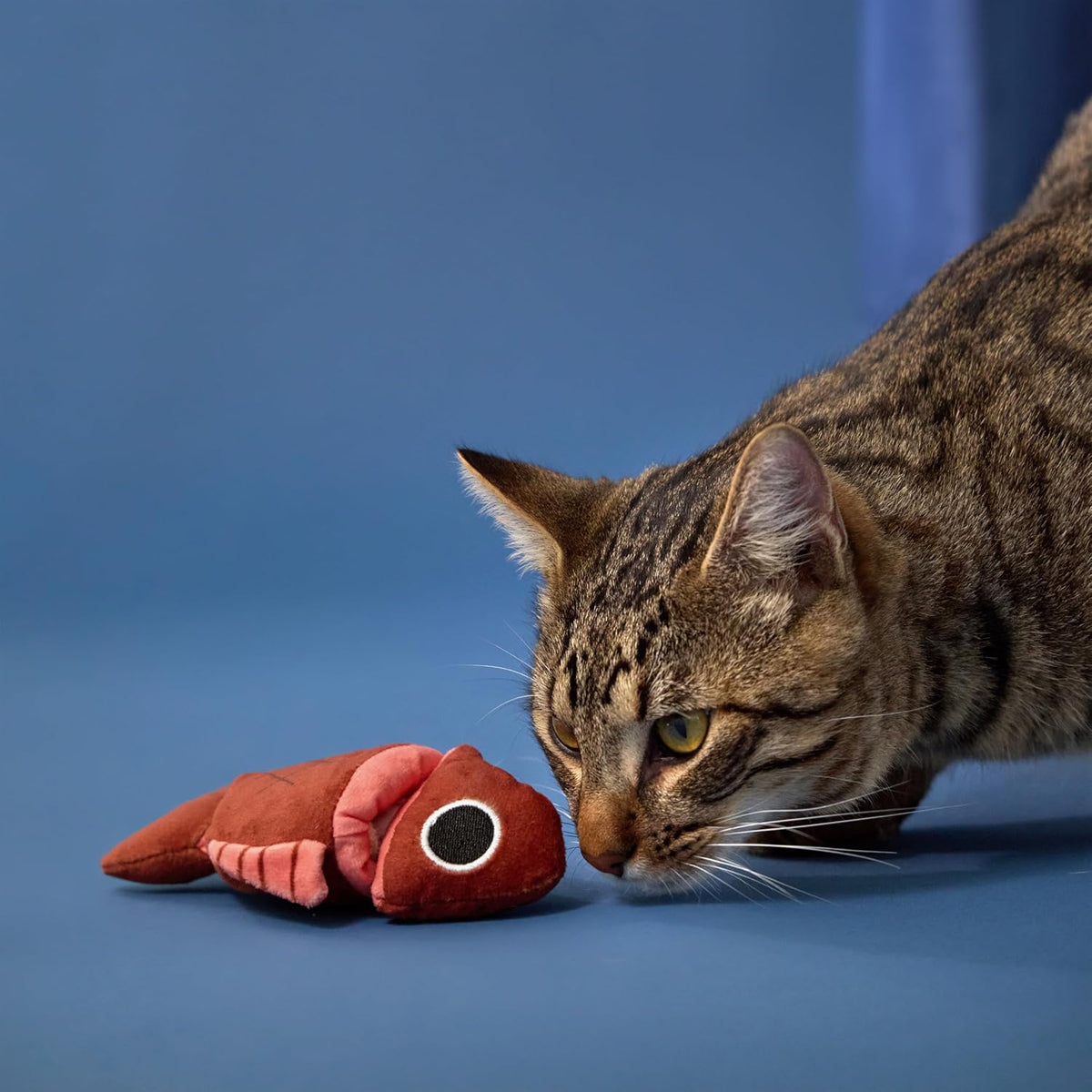 Premium Plush Cat Toy, Whale Cat Toy, Eco Friendly, Catnip - Frankie the Fish Puzzle - image 3