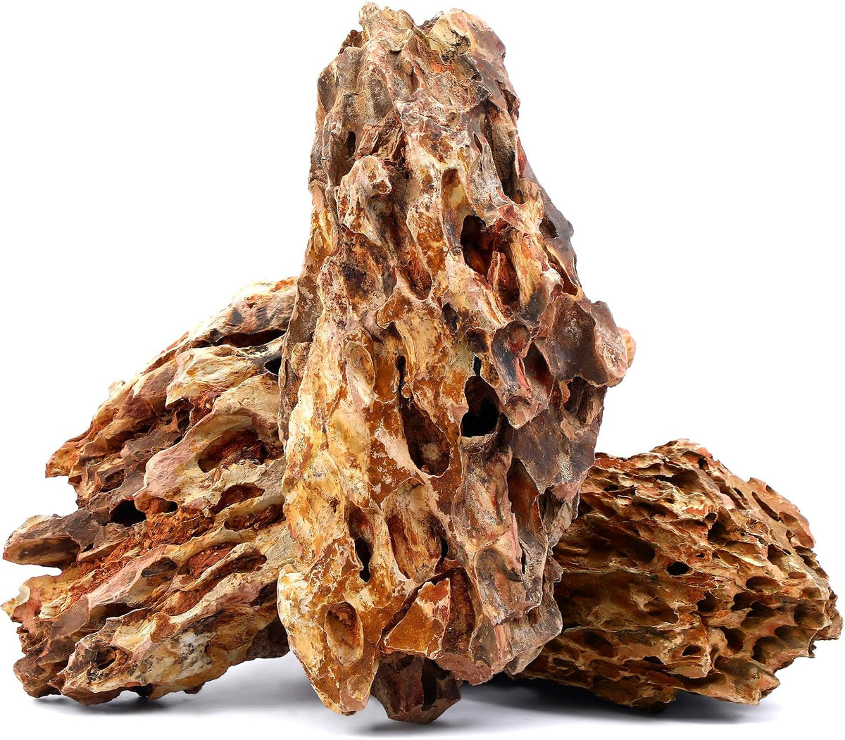 6.1-8.1 Inches Natural Dragon Stone, Terrariums - 10.0-12.0 in