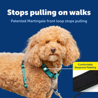 PetSafe 3 in 1 No-Pull Dog Harness, Walk, Train or Travel - Teal / Small (Pack of 1) - image 4