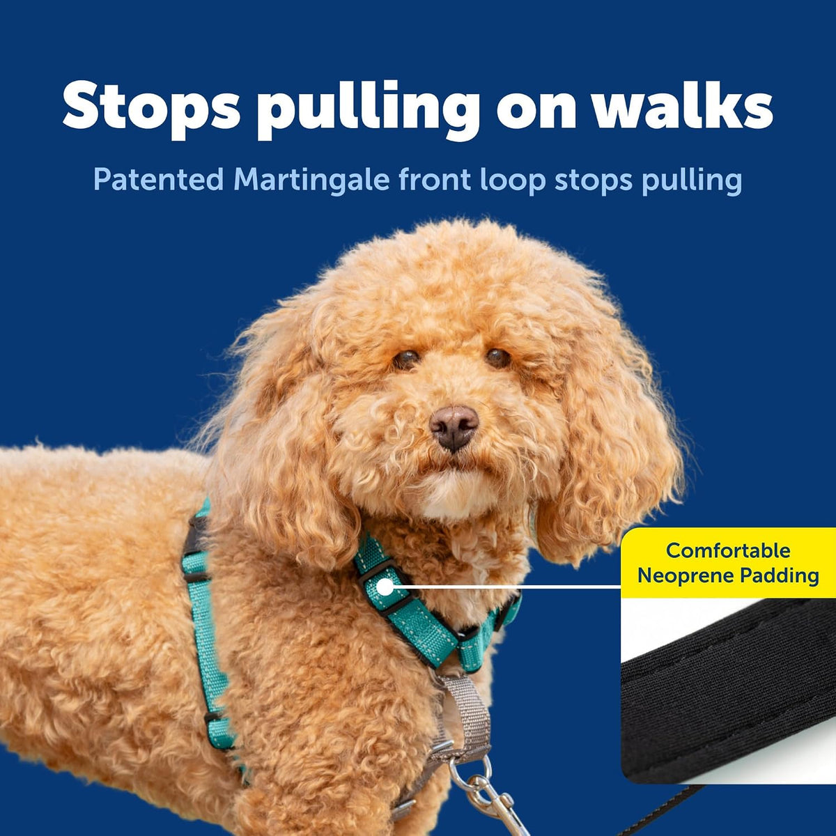 PetSafe 3 in 1 No-Pull Dog Harness, Walk, Train or Travel - Teal / Small (Pack of 1) - image 4