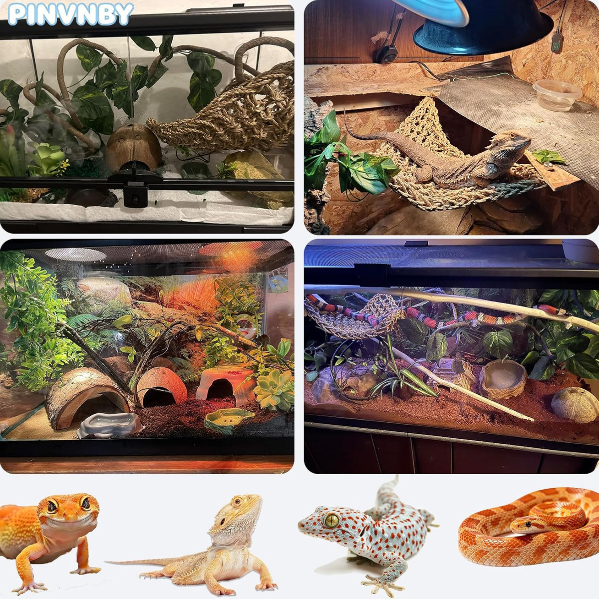 PINVNBY Bearded Dragon Tank Accessories - 【Coconut Shell+Triangle Hammock Decor】 - image 3