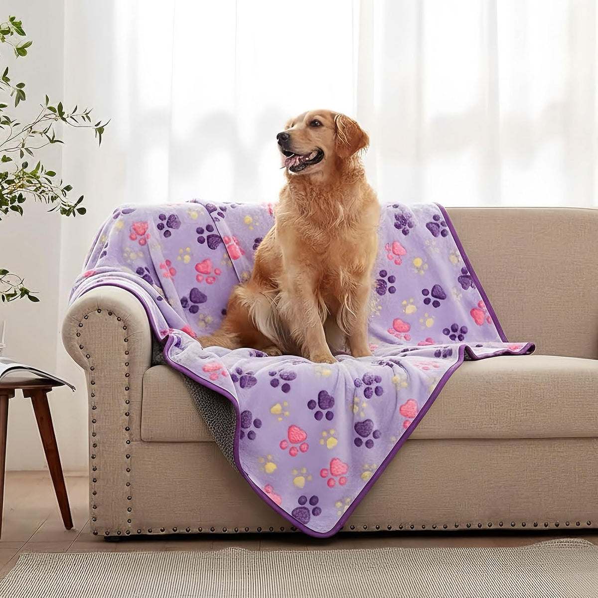 41" x 30" Dog Blankets for Medium Dogs, Cat - 41" x 30" / Purple / 1 - image 2