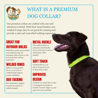 Country Brook Petz - Premium Nylon Dog Collar with Metal Buckle for Small Medium Large Breeds - 30+ - Small (Pack of 1) / Hot Yellow - image 4