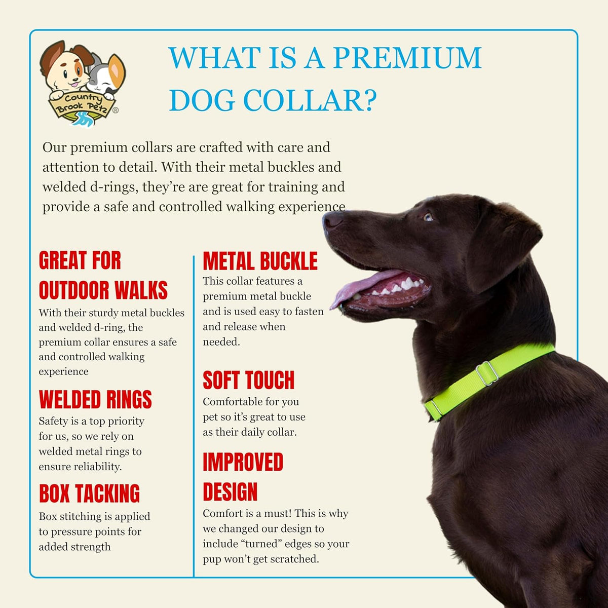 Country Brook Petz - Premium Nylon Dog Collar with Metal Buckle for Small Medium Large Breeds - 30+ - Small (Pack of 1) / Hot Yellow - image 4