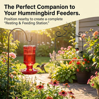 4-Pack Metal Hummingbird Swings Black – Essentials for Birds - Black - image 4