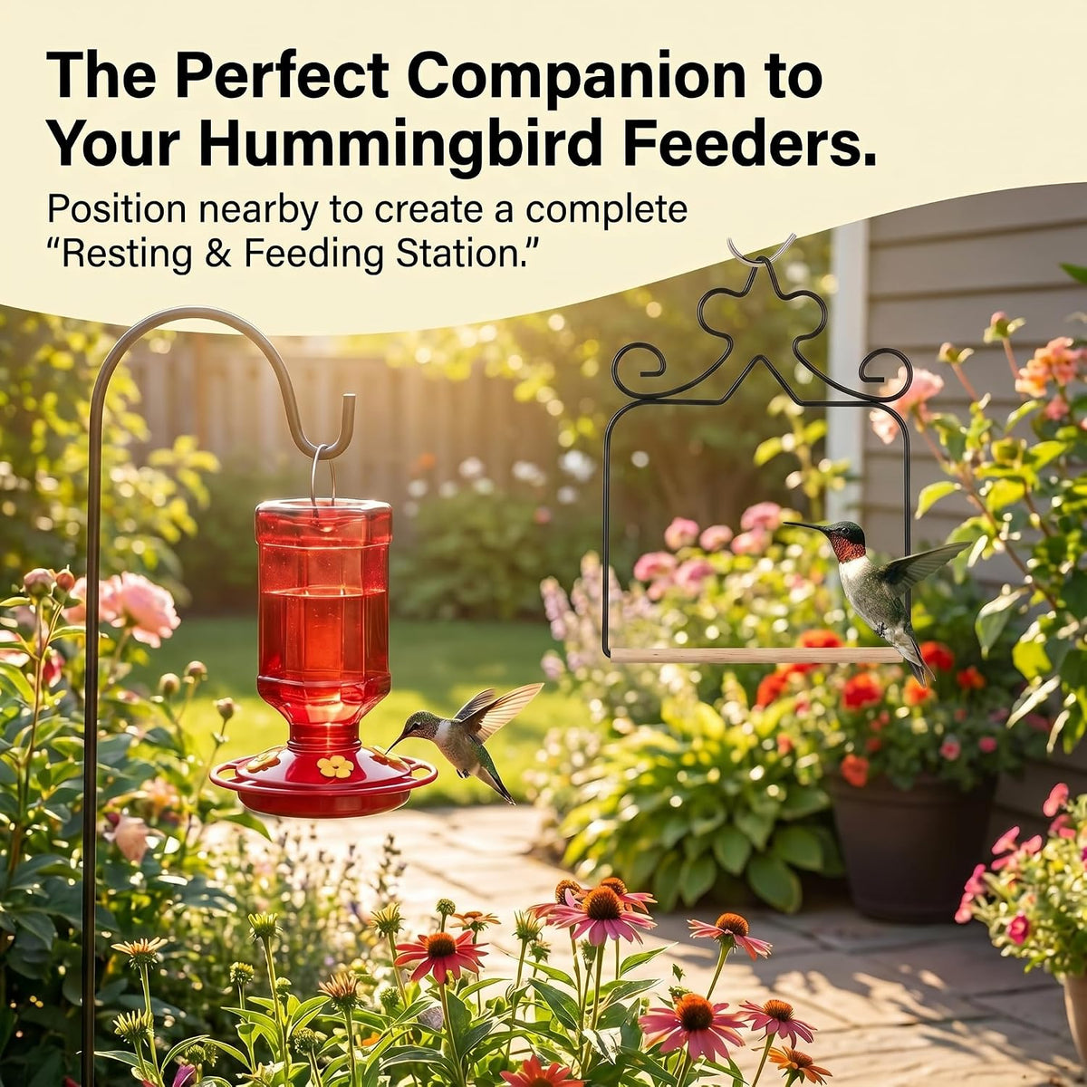 4-Pack Metal Hummingbird Swings Black – Essentials for Birds - Black - image 4