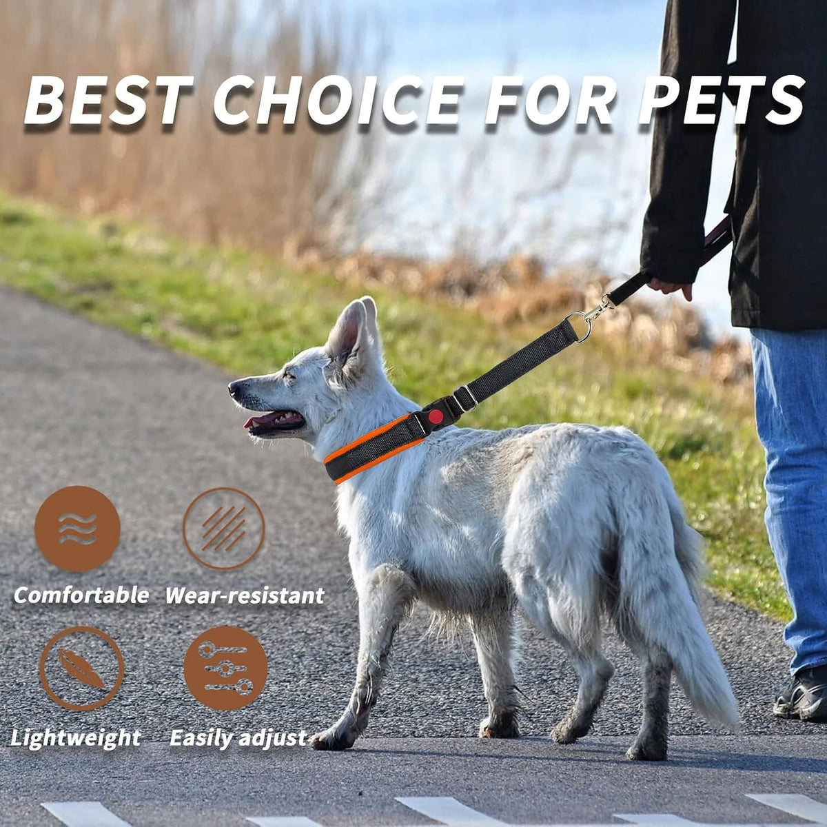 Martingale No Pull Dog Collar for Large Medium Small Dogs - L (19"-26" Neck, 1.5" Wide) / Black Orange - image 3