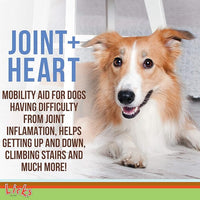 Licks Pill-Free Dog Joint and Heart - Glucosamine & Omega 3 Fish Oil Supplement for Dogs - Inflammation Supplements for Joint Support - Gel Packets - 10 Use