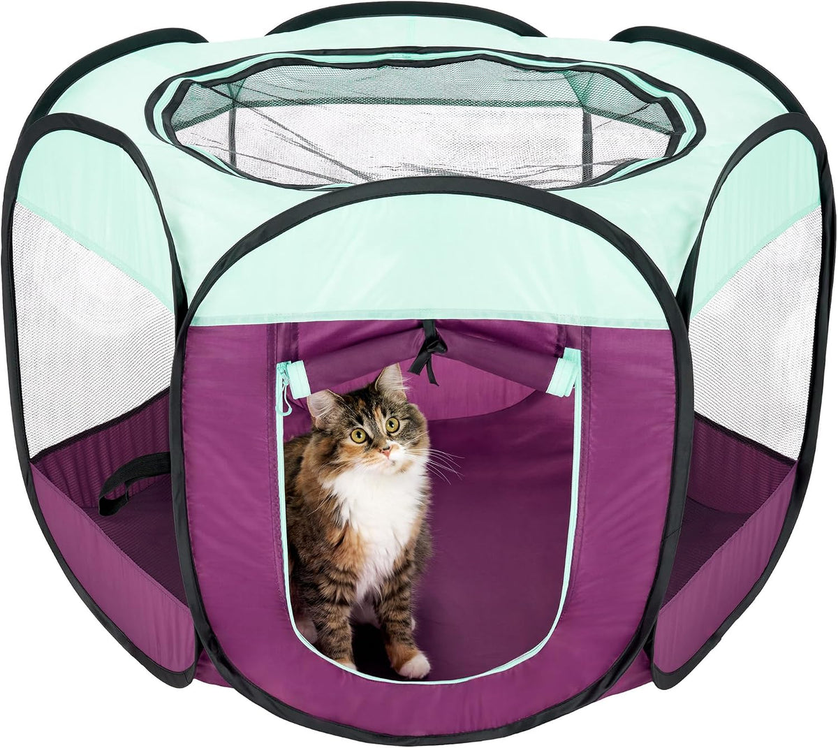 FurHaven Soft-Sided Dog & Cat Playpen - Purple / Small