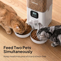 VOLUAS Automatic Cat Feeder for Two Cats with Dual Stainless Bowls - White Transparent / 6L - image 3