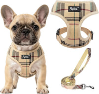 Pupteck Soft Mesh Dog Harness Sized and Leash Set Pet Puppy Cat - Beige / M (NECK: 14", CHEST: 17"-21") / Classic over-the-head harness
