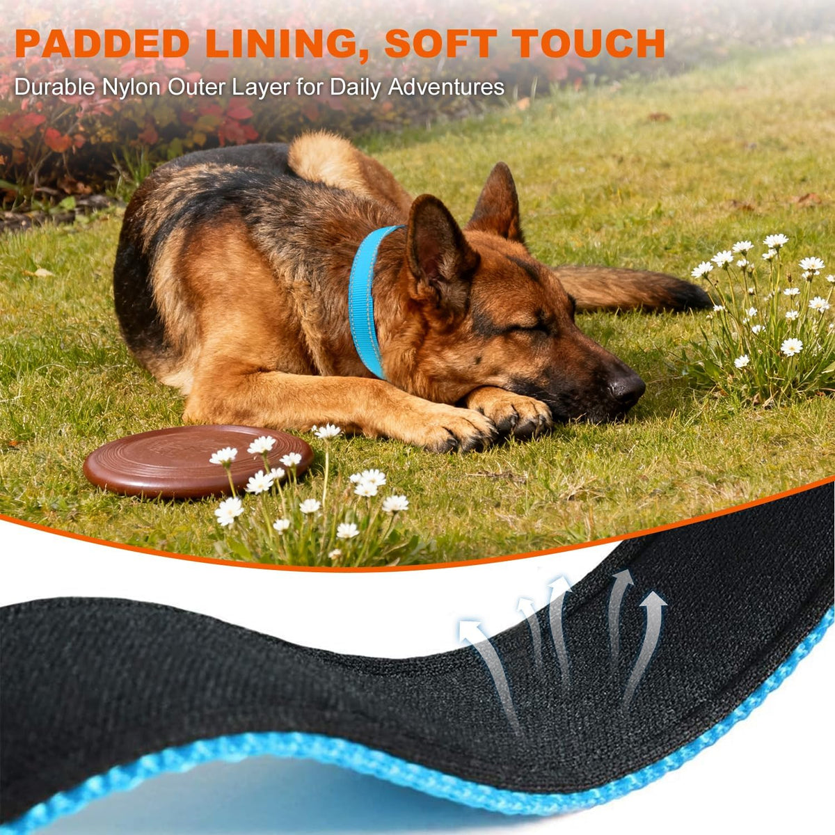 Taglory Reflective Large Dog Collar - Skyblue / Large (Pack of 1) - image 4