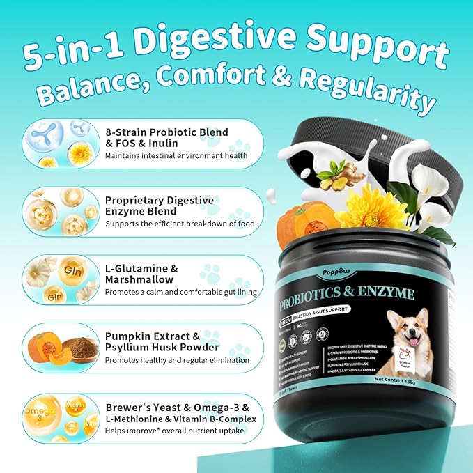 Probiotics for Dogs, Digestive Enzymes for Gut Health Support, Dog Fiber Supplement with Pumpkin for Diarrhea & Bowel Support, Upset Stomach & Gas Relief, Constipation - 60 Count Chicken Flavor