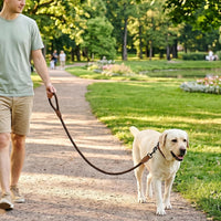 Mile High Life braided cotton rope dog leash with leather-reinforced tip and metal clasp - view 3