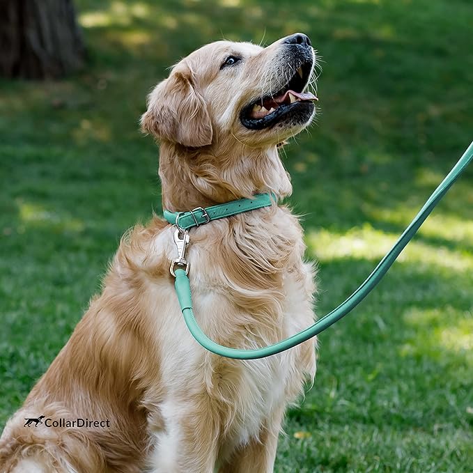 CollarDirect Rolled Leather Dog Collar, Soft Padded Round Puppy Collar, Handmade Genuine Leather Collar Dog Small Large Cat Collars 13 Colors (13-16 Inch, Mint Green Textured)