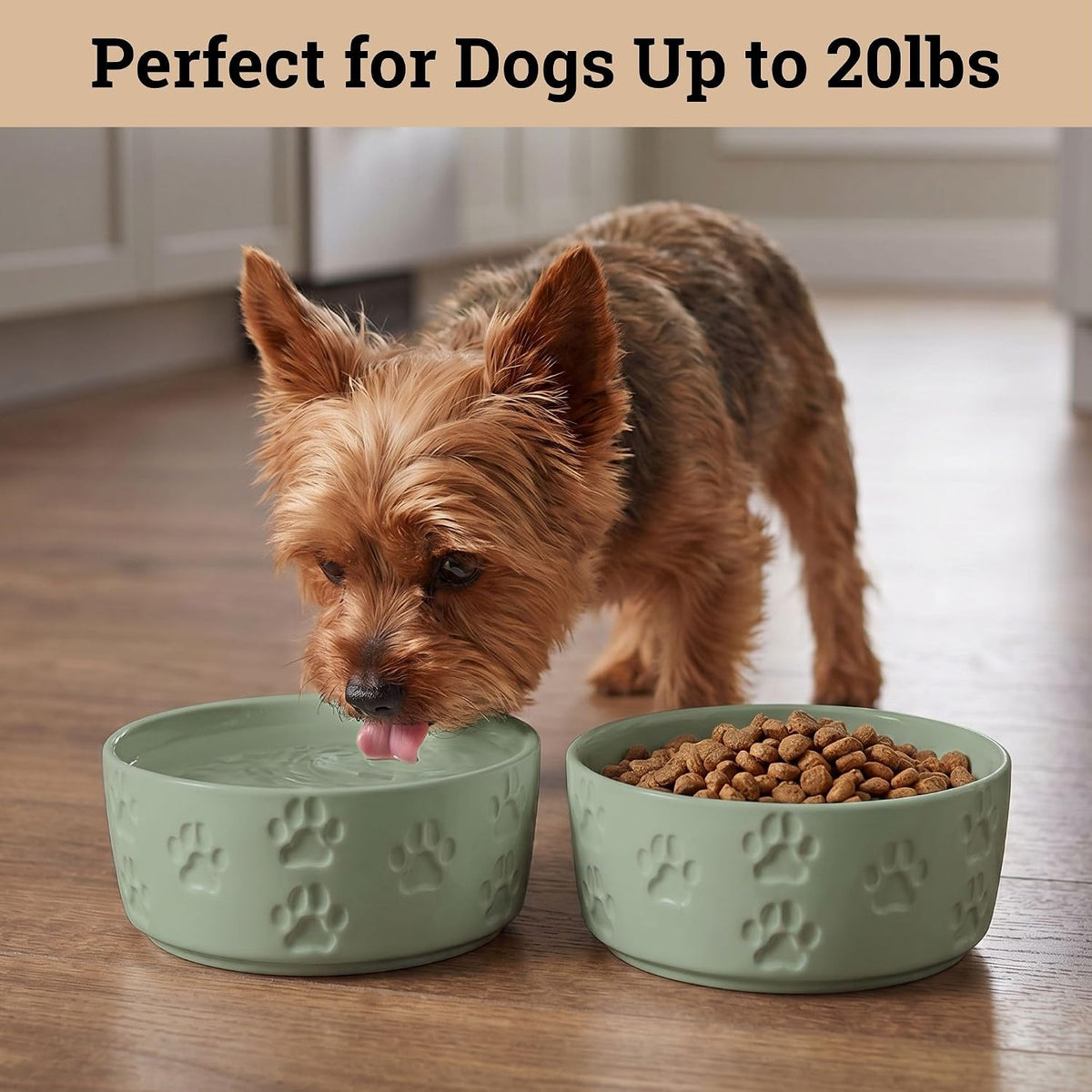 Ceramic Dog Bowl Set of 2 with Anti-Skid Base, 5.5"W x 2"H - Small / Sage Green - image 3