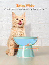 Elevated Cat Food and Water Bowls Set - Single (Water Bowl) / Blue - image 2