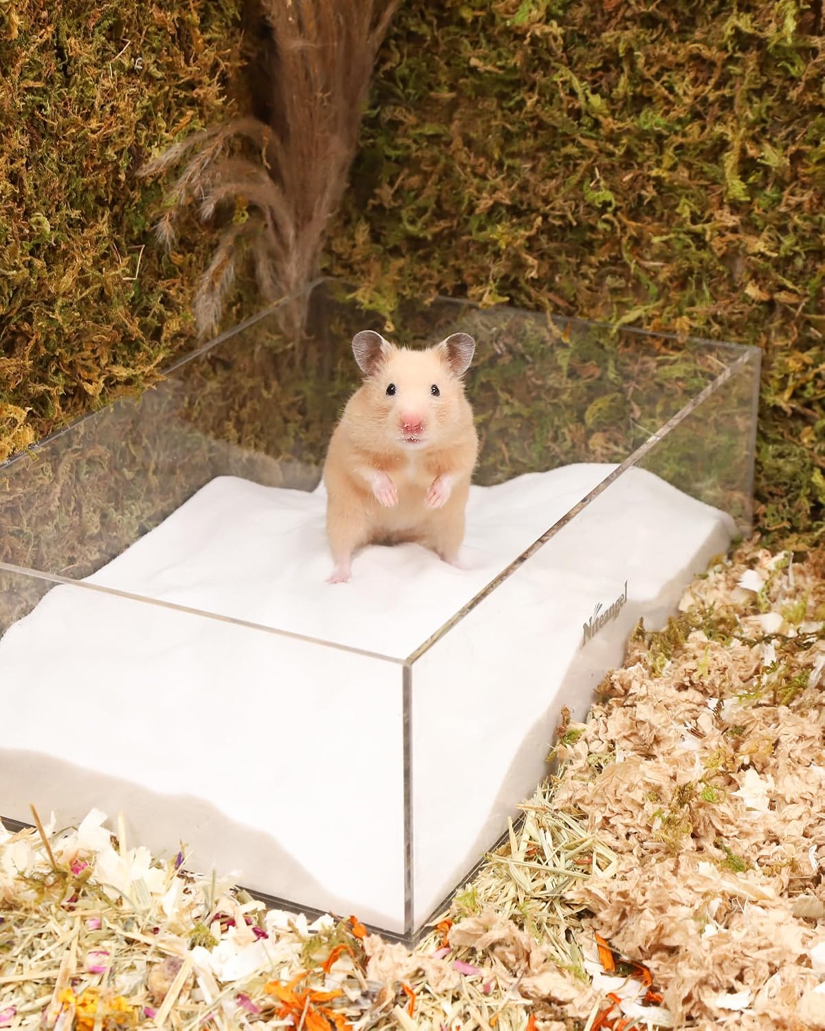 Niteangel Hamster Desert Bath Sand: 2.5lb/40oz No-Dust Bath & Easy - 2.5LB/40oz / White Sand - image 4