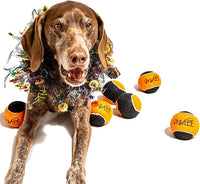 Midlee Orange/Black Dog Halloween Tennis Balls- Set of 6