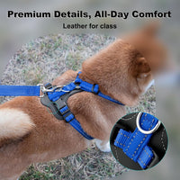 Plutus Pet No Pull Dog Harness with Leather Accents - S / Royal Blue - image 2