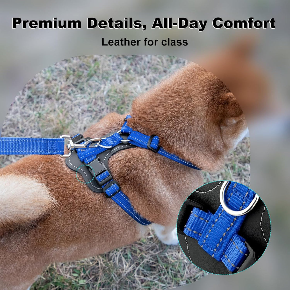 Plutus Pet No Pull Dog Harness with Leather Accents - S / Royal Blue - image 2