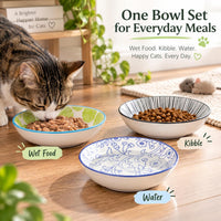 Ceramic Cat Food Bowls, Water - Classic Color - image 4