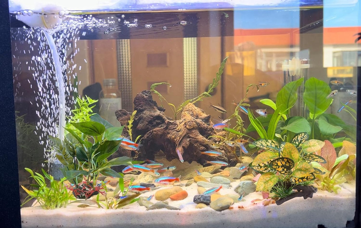 M2cbridge Artificial Fish Tank Plants Aquarium Plant Aquatic Water - 2pcs Plastic Plants - image 4