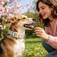 Elegant little tail Dog Collar - Pink&Green Strip / Small (Pack of 1) - image 4