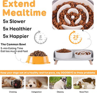 Elevated Slow Feeder Dog Bowls with Splash Proof Stand - Medium / White - image 2