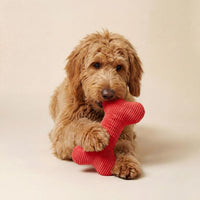 Playology Durable Plush Bone Toy, Squeaky Bone, Jumbo - Jumbo Bone / Beef - image 3