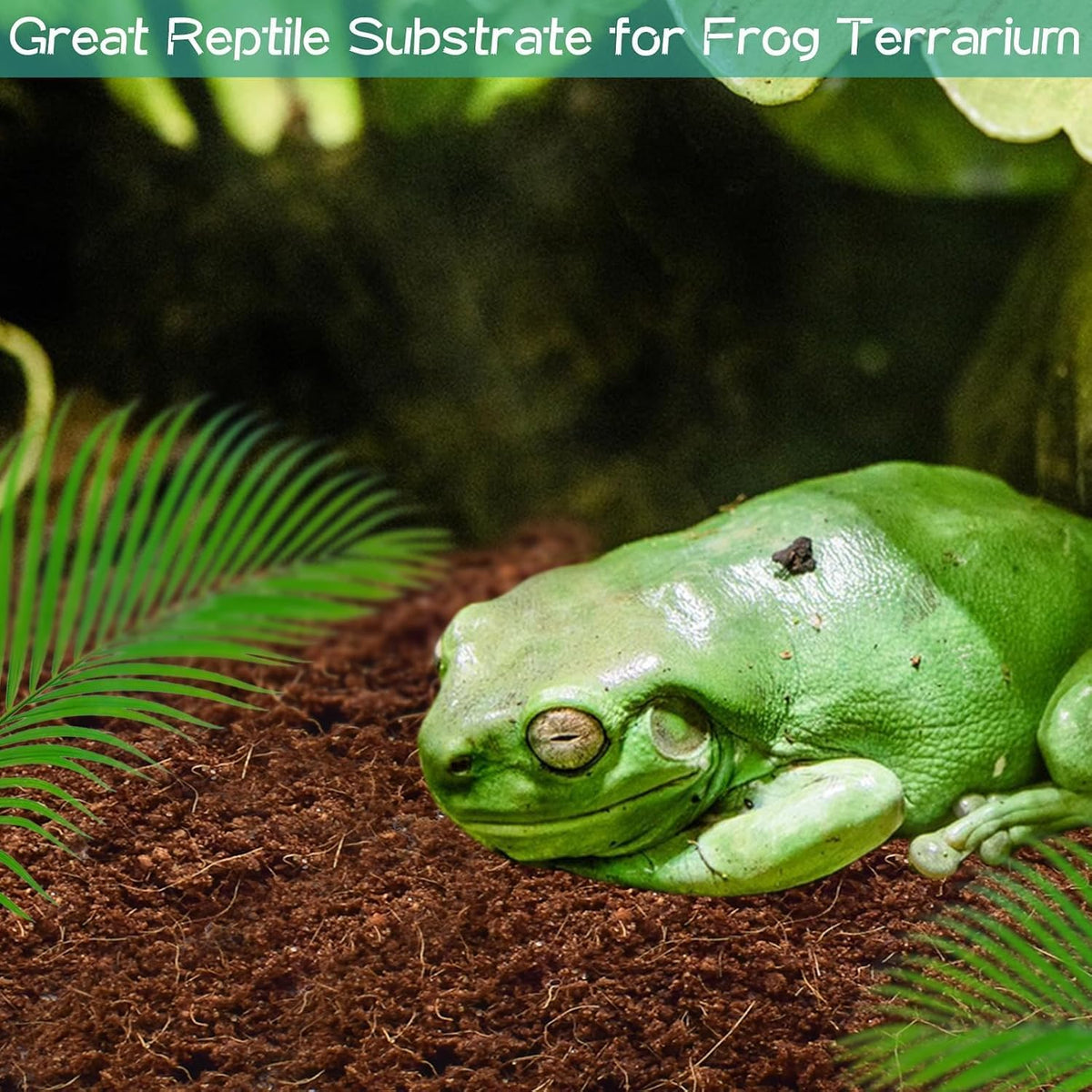 2 Pack Compressed Coconut Fiber Substrate for Reptiles – Daily Care for Reptiles And Amphibians - 4 pack - image 3