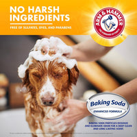 Arm & Hammer 2-in-1 Dog Shampoo and Conditioner - Vanilla Sandalwood / 20 Fl Oz (Pack of 1) - image 4