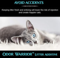 Odor Warrior Cat Litter Deodorizer with Activated Charcoal - image 4