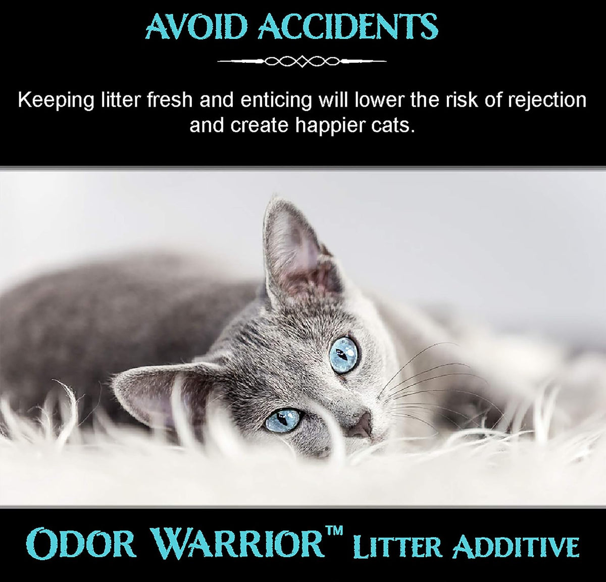 Odor Warrior Cat Litter Deodorizer with Activated Charcoal - image 4