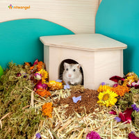 Niteangel Birch Chamber-Maze Hamster Hideout - 1 Chamber Hideout-Small - image 2