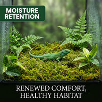 Sukh Sphagnum Moss for Reptiles, Green Terrarium Moss Substrate - 15.8 Ounces / Green - image 4