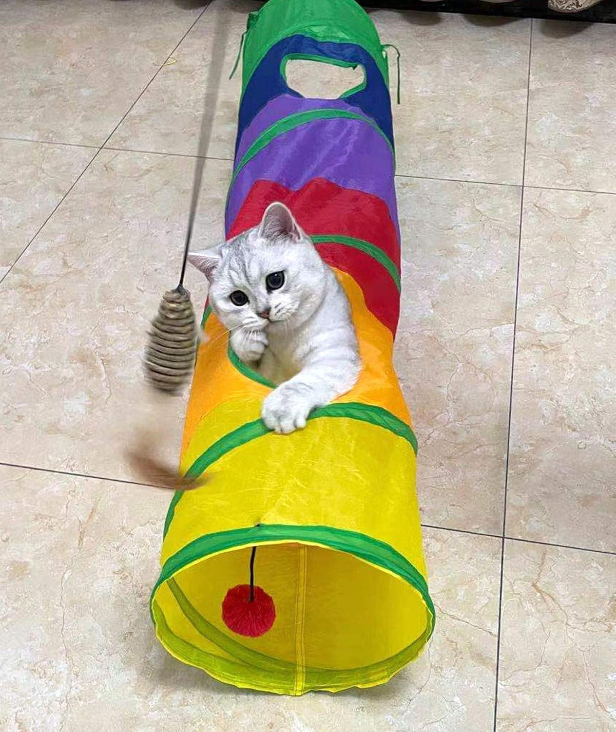 PetLike Cat Tunnel for Indoor Cats Collapsible Pop-up Pet Tube Peek - one way / Rainbow - image 4