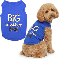 Parisian Pet Dog Shirt, 100% Cotton Shirts for Medium Dogs - Big Brother / Large (12-18lbs)