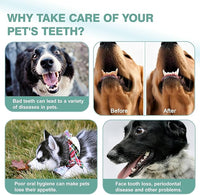 Leoezx™ Professional Pet Toothbrush(4Pcs), Dog & Cat Soft Bristle Double-Sided Brush Head Set, Pet Brushing Teeth to Clean Teeth to Reduce Tartar Buildup, Pet Dental Care Essentials